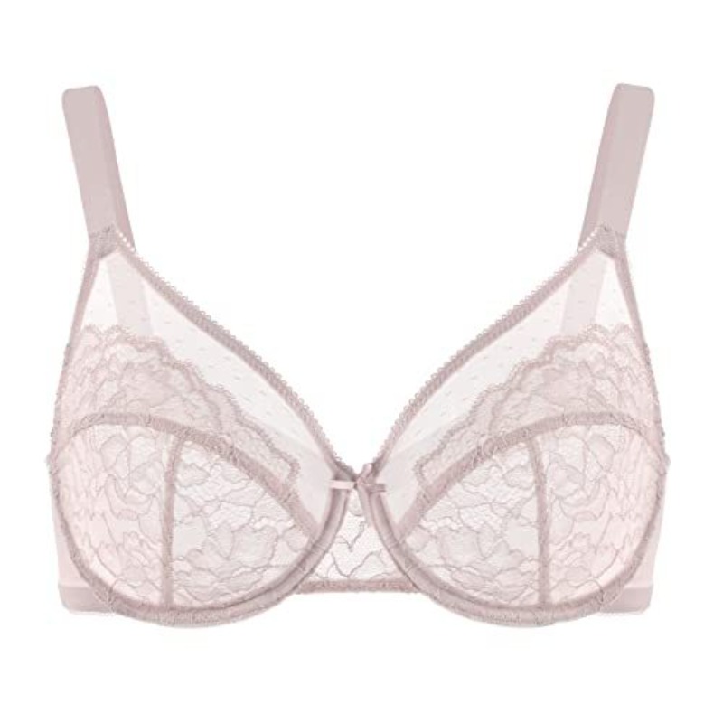 Plus Size Lace Bra French Push - Sheer Bra Lace ulasan dan harga
